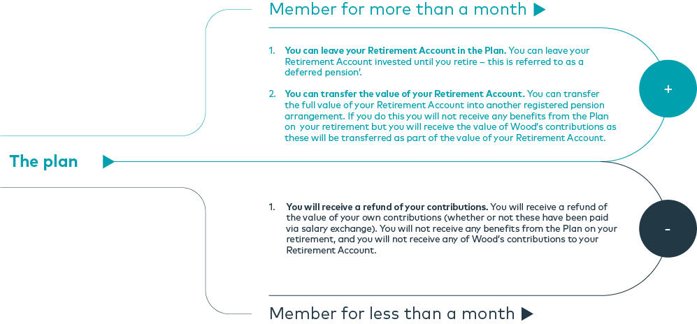 Leaving the plan options