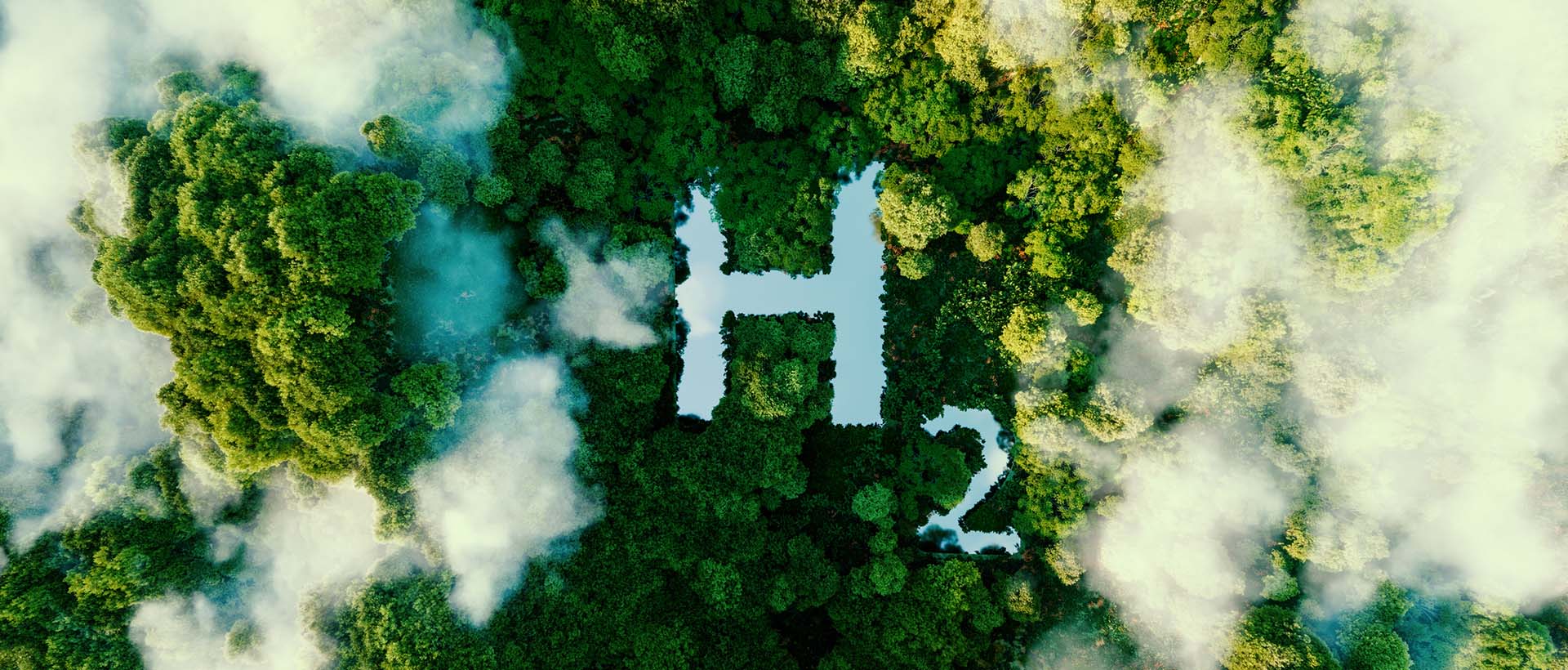 A stylised H2 cut into an overhead forest