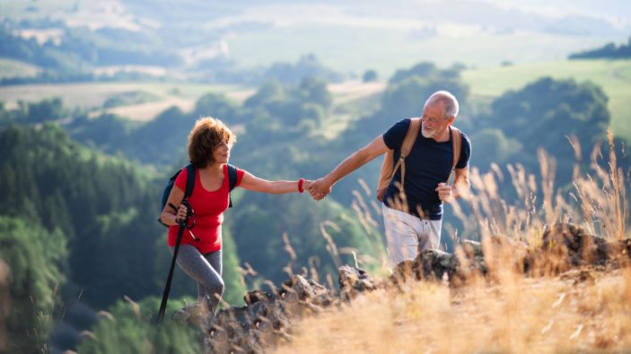 Introduction to pensions and the Wood Pension Plan