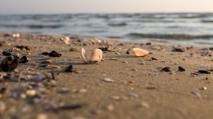 Wood and CuanTec to accelerate circular economy solutions in the UK