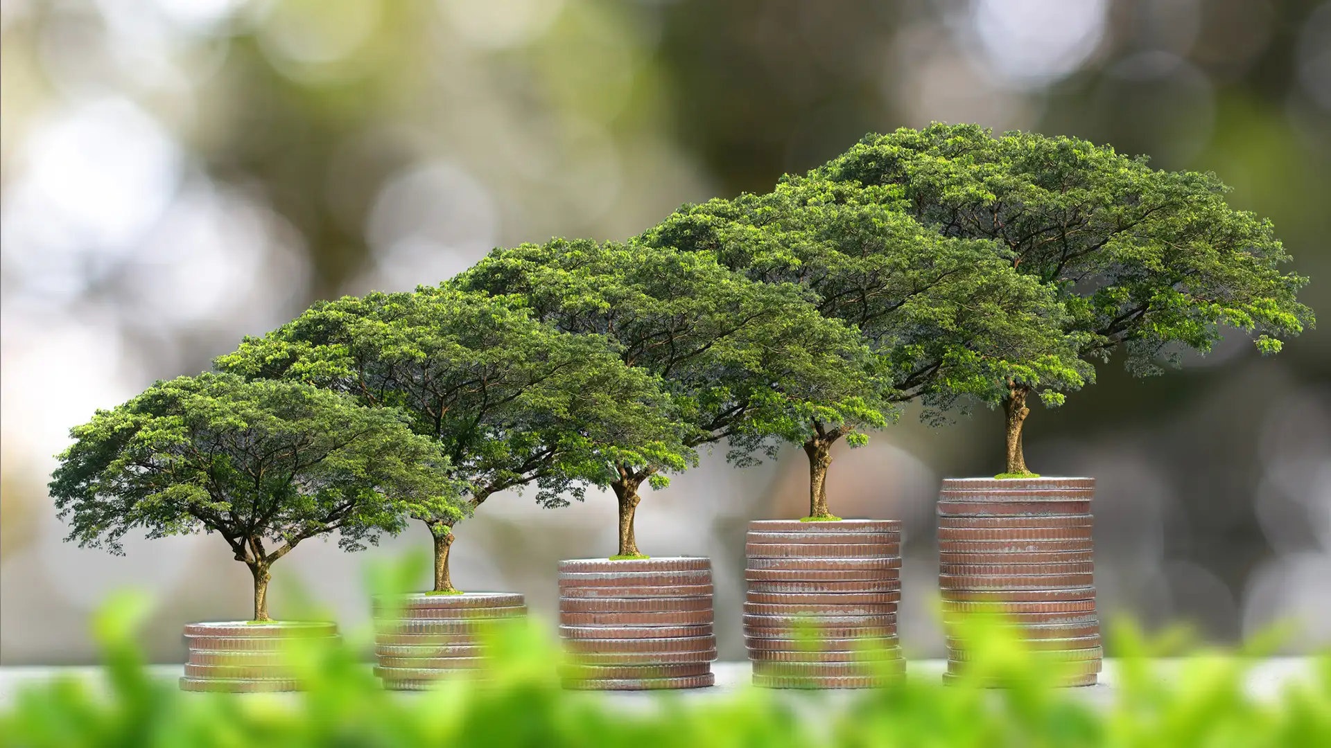 Stylised image of trees growing from coin stacks