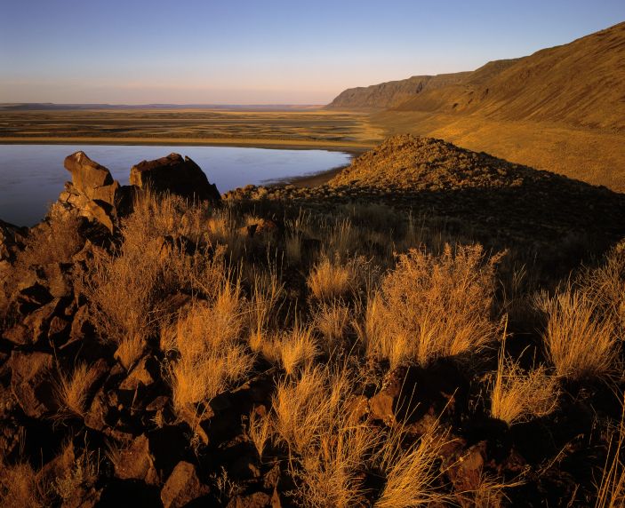 Wood to construct biofuel facility in Oregon