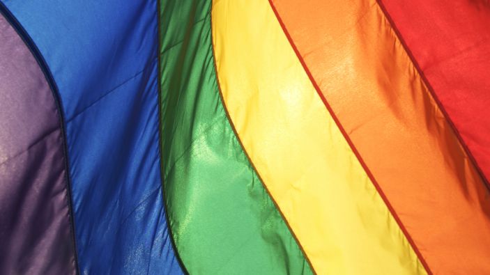 Why I walk with Pride