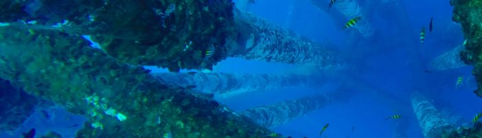 Subsea, umbilical, riser and flowline (SURF)