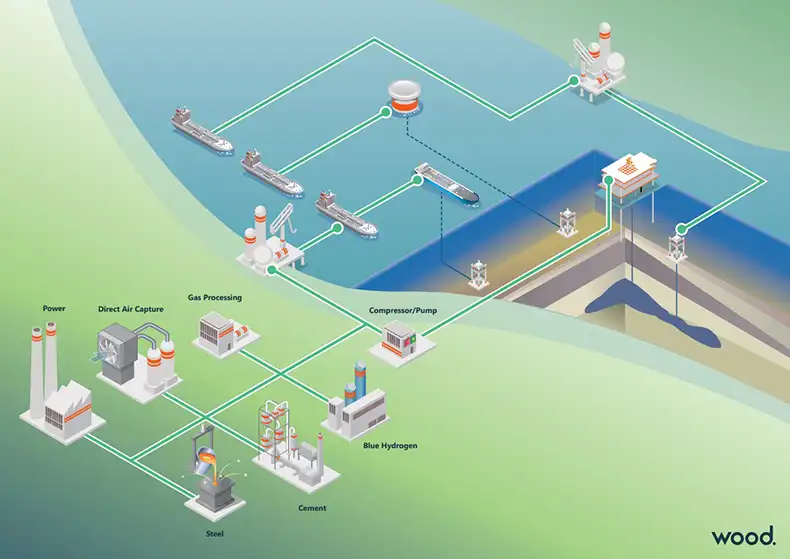 Diagram showing carbon flow