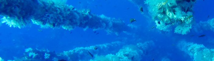 Subsea and export systems