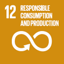SDG 12