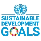 Sustainable development goals logo