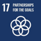 SDG 17