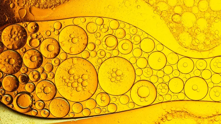 Lubrication analysis training