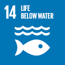 SDG 14