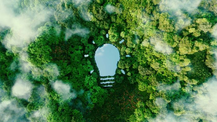 Nurturing a culture of innovation