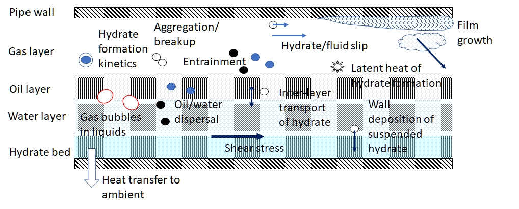 Hydrate kinetics