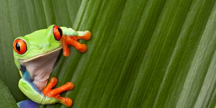 Natural capital & biodiversity