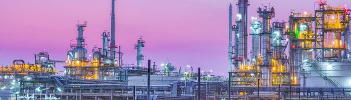 VESTA methanation for renewable natural gas production