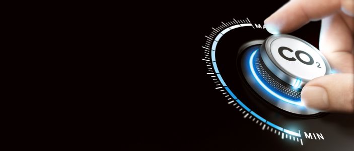 The importance of CCUS on the road towards net-zero