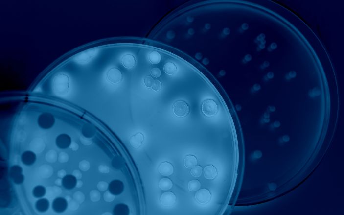 At the forefront of the fight against infectious diseases in Australia