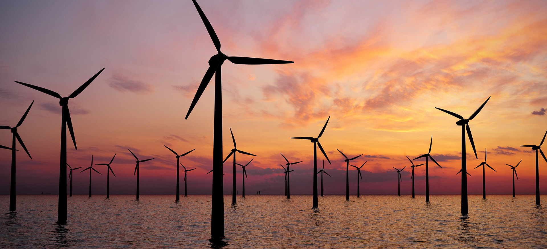 Explore Wind The rise of U.S. offshore wind | Wood