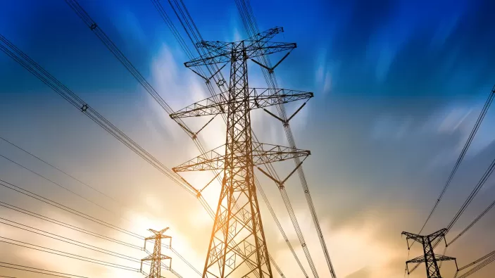 Southeastern Electric Exchange