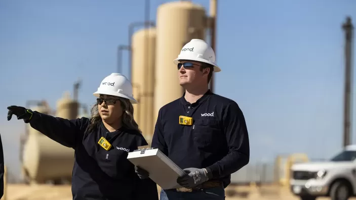 Marking International Human Rights Day: Wood’s commitment to sustainability and worker welfare