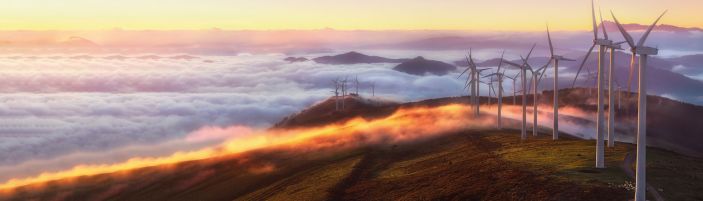 Wind farm asset performance monitoring